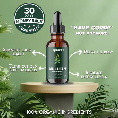 Quorvi™ Mullein + Chlorophyll