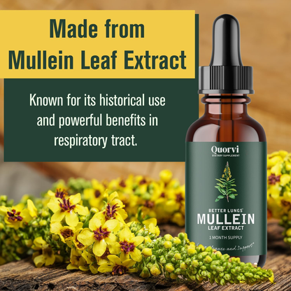 Quorvi™ Mullein + Chlorophyll