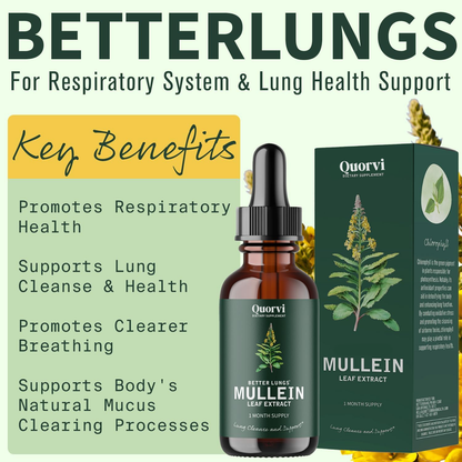 Quorvi™ Mullein + Chlorophyll