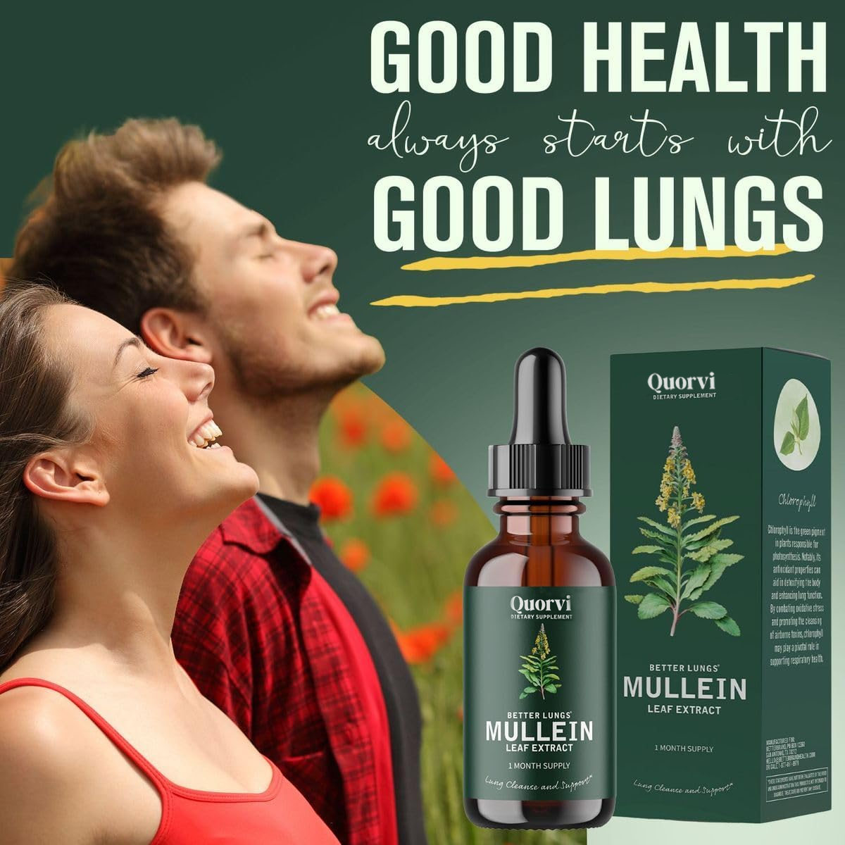 Quorvi™ Mullein + Chlorophyll