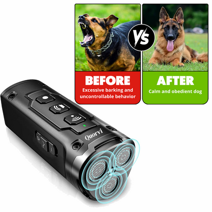 Quorvi QuietPaw™